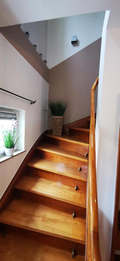 Ferienwohnung Palmenwald Freudenstadt Dış mekan fotoğraf